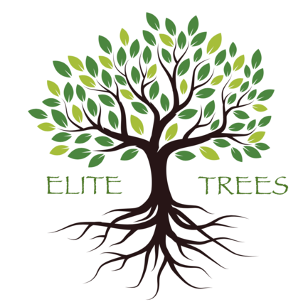 charlestown tree cutting services